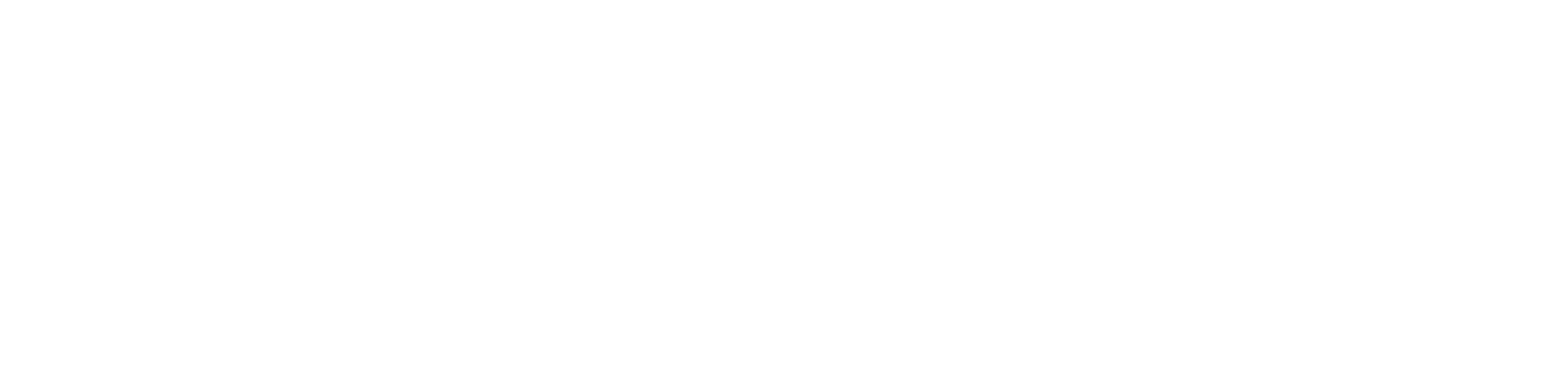 Play_Logo_White_RGB