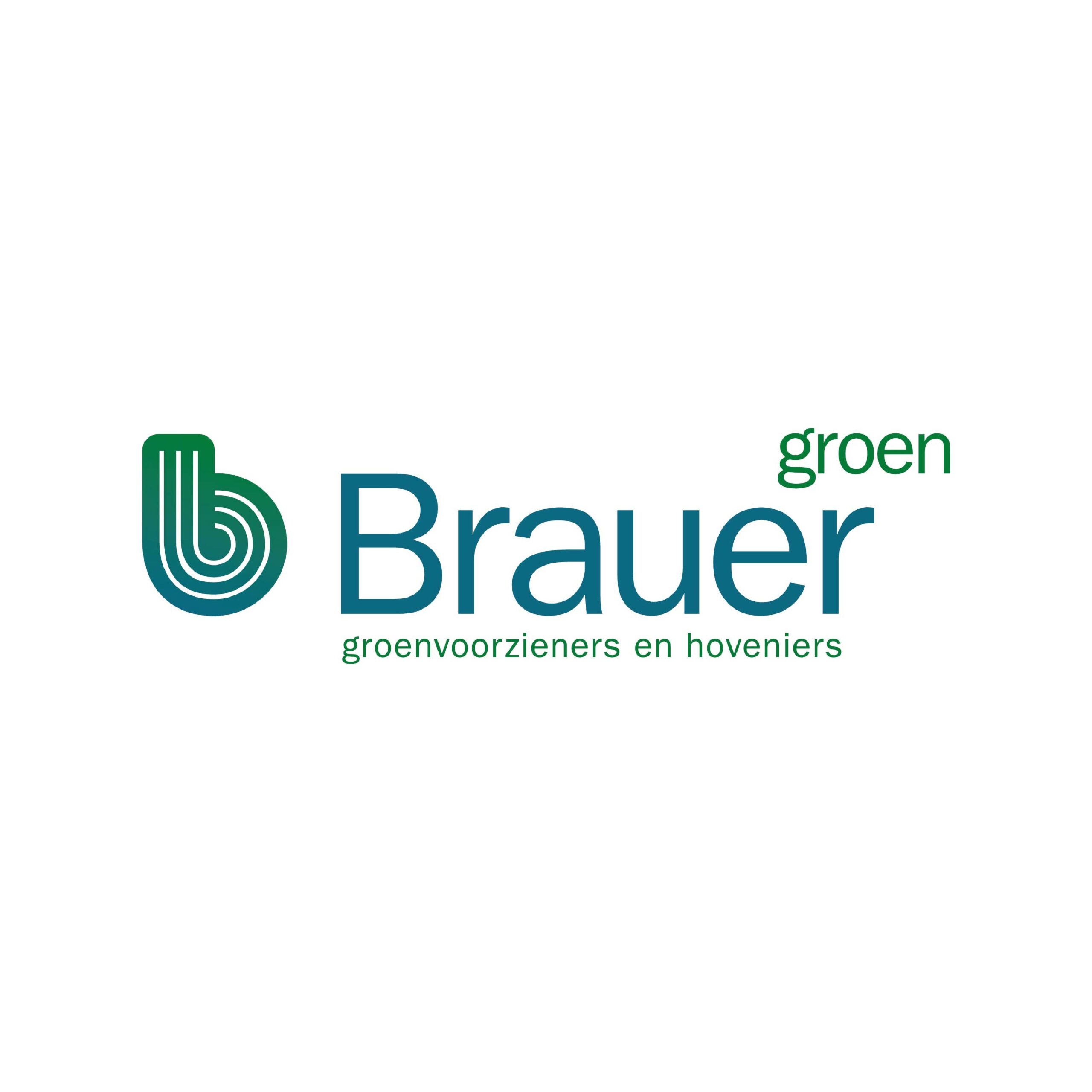 brauer groen_Goed